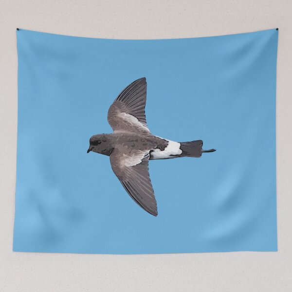 Item preview, Wilson's Storm Petrel Black Alternate Design  designed and sold by designsasstultd.