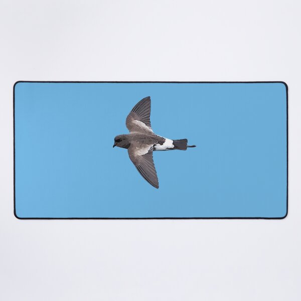 Item preview, Wilson's Storm Petrel Black Alternate Design designed and sold by designsasstultd.