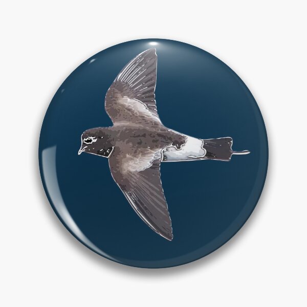 Item preview,  Wilson's Storm Petrel White Alternate Design  designed and sold by designsasstultd.
