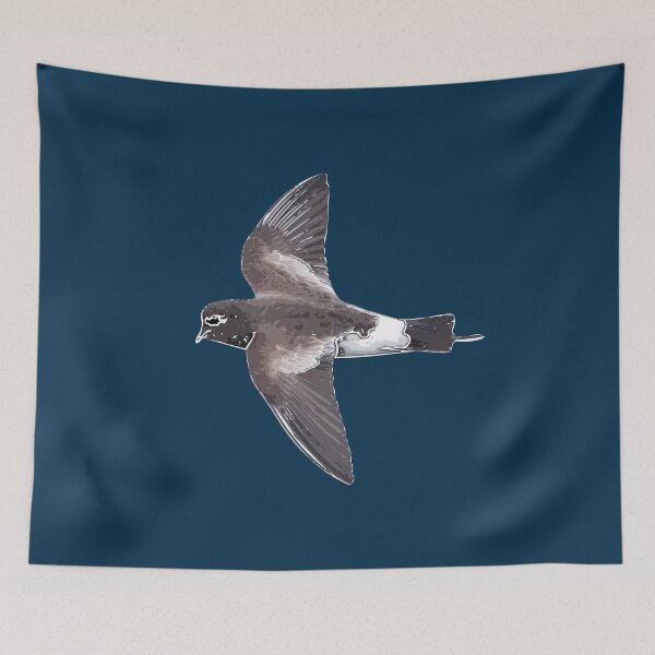 Item preview,  Wilson's Storm Petrel White Alternate Design  designed and sold by designsasstultd.