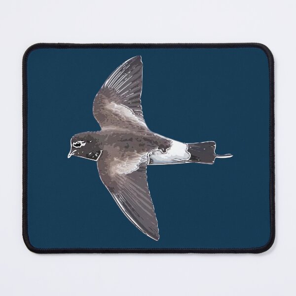 Item preview,  Wilson's Storm Petrel White Alternate Design  designed and sold by designsasstultd.