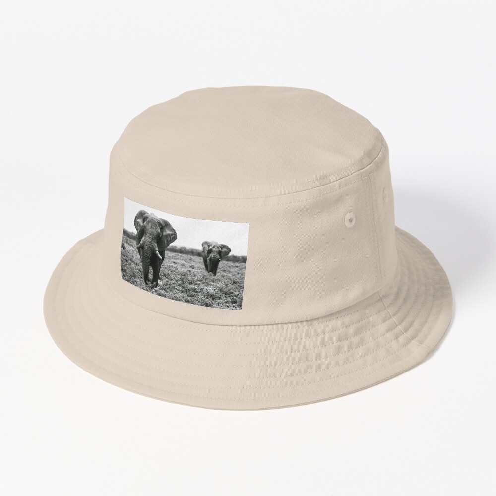 Artikel-Vorschau von Bucket Hat, designt und verkauft von Portalius.