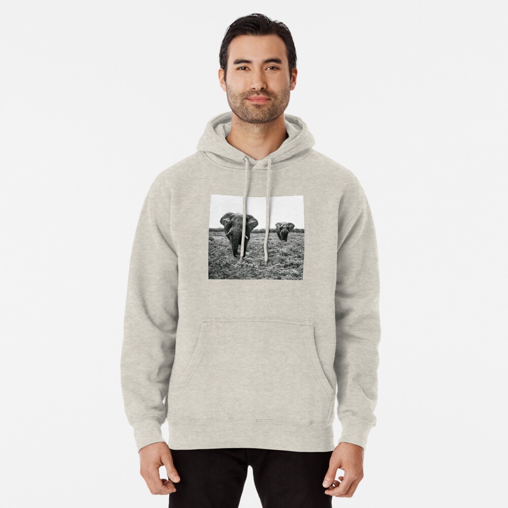 Artikel-Vorschau von Hoodie, designt und verkauft von Portalius.