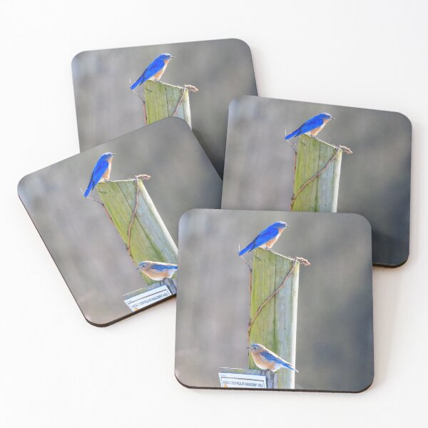 Item preview, Male and Female Bluebirds on Fence Post designed and sold by RickPics.