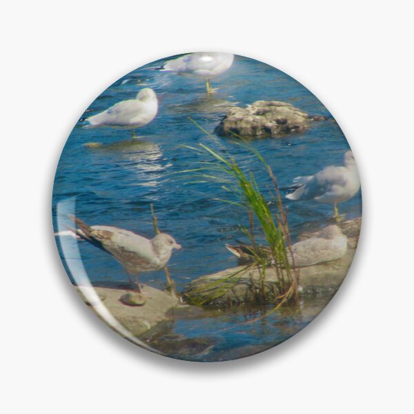 Item preview, Seagulls on the rocks designed and sold by Shulie1.