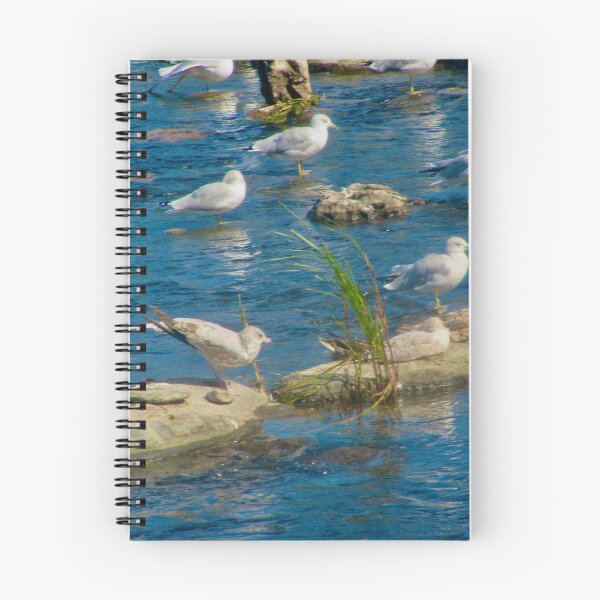 Item preview, Seagulls on the rocks designed and sold by Shulie1.