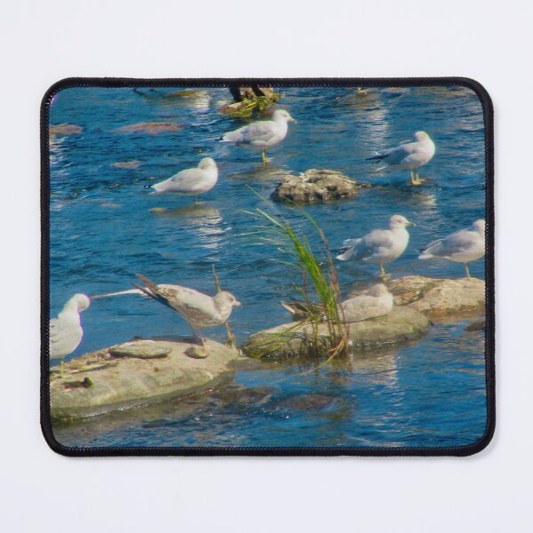 Item preview, Seagulls on the rocks designed and sold by Shulie1.