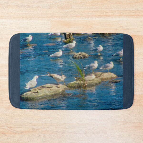 Item preview, Seagulls on the rocks designed and sold by Shulie1.