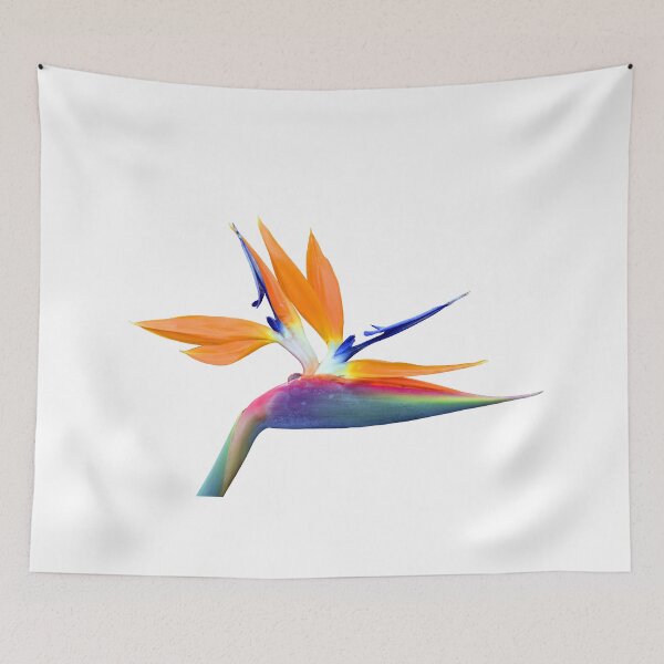 Item preview, Bird of paradise Latin name Strelitzia reginae designed and sold by Peter Etchells.