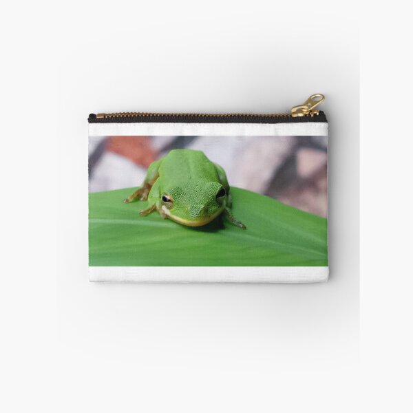 Item preview, American tree frog  designed and sold by Bmusicjr.