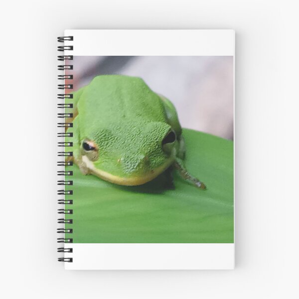 Item preview, American tree frog  designed and sold by Bmusicjr.