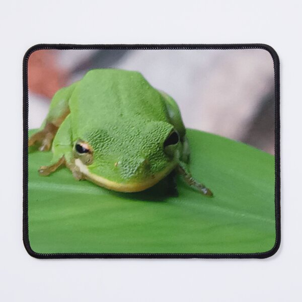 Item preview, American tree frog  designed and sold by Bmusicjr.