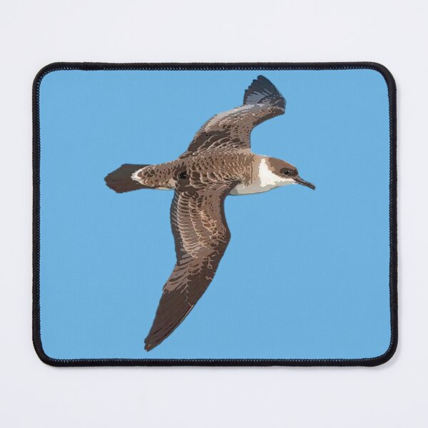 Item preview, Greater Shearwater Color Design  designed and sold by designsasstultd.