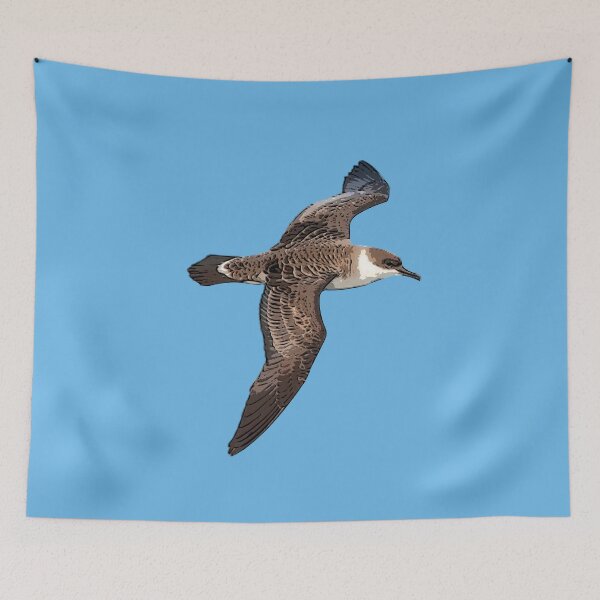 Item preview, Greater Shearwater Black Alternate Design  designed and sold by designsasstultd.