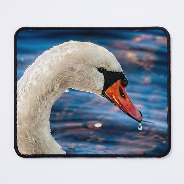 Item preview, White Swan designed and sold by AJEvans.