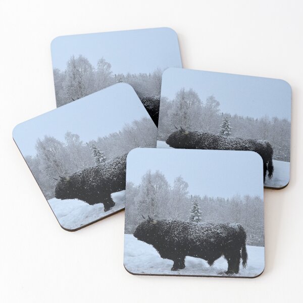 Item preview, Scottish Highland Cattle Bull 4721 designed and sold by SaarelaHighland.
