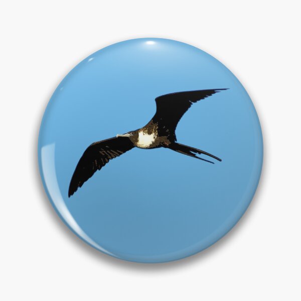 Item preview, Female Magnificent Frigatebird Color Design  designed and sold by designsasstultd.