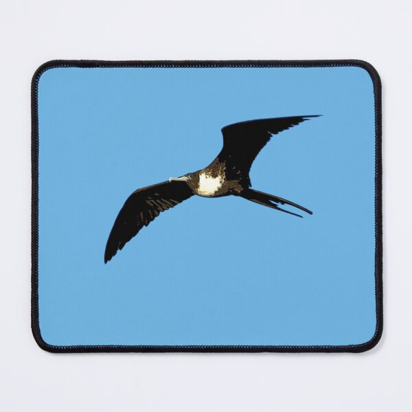 Item preview, Female Magnificent Frigatebird Color Design  designed and sold by designsasstultd.