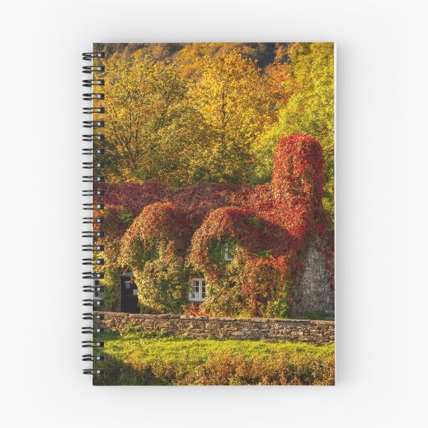 Item preview, Llanrwst Tea Room Autumn designed and sold by AJEvans.