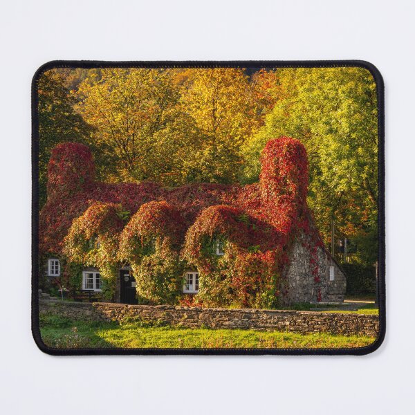 Item preview, Llanrwst Tea Room Autumn designed and sold by AJEvans.