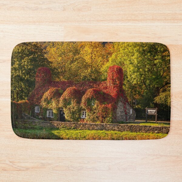 Item preview, Llanrwst Tea Room Autumn designed and sold by AJEvans.