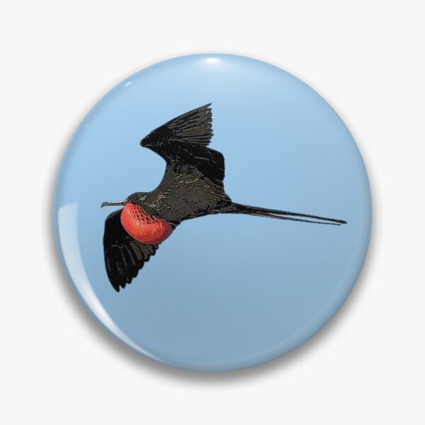 Item preview, Male Magnificent Frigatebird  Man O' War Color Design  designed and sold by designsasstultd.