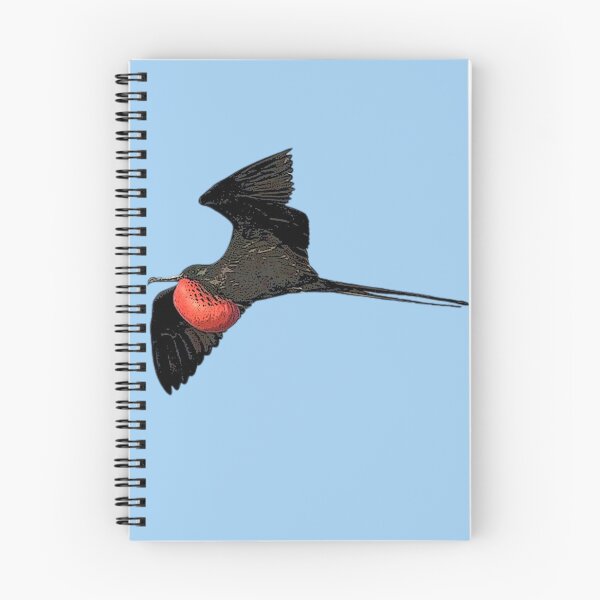 Item preview, Male Magnificent Frigatebird  Man O' War Color Design  designed and sold by designsasstultd.
