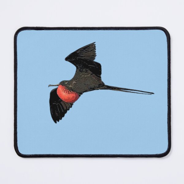 Item preview, Male Magnificent Frigatebird  Man O' War Color Design  designed and sold by designsasstultd.