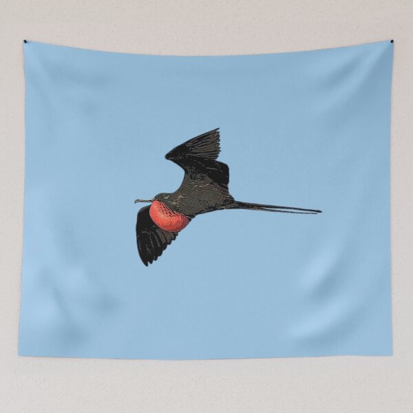 Item preview, Male Magnificent Frigatebird  Man O' War Color Design  designed and sold by designsasstultd.