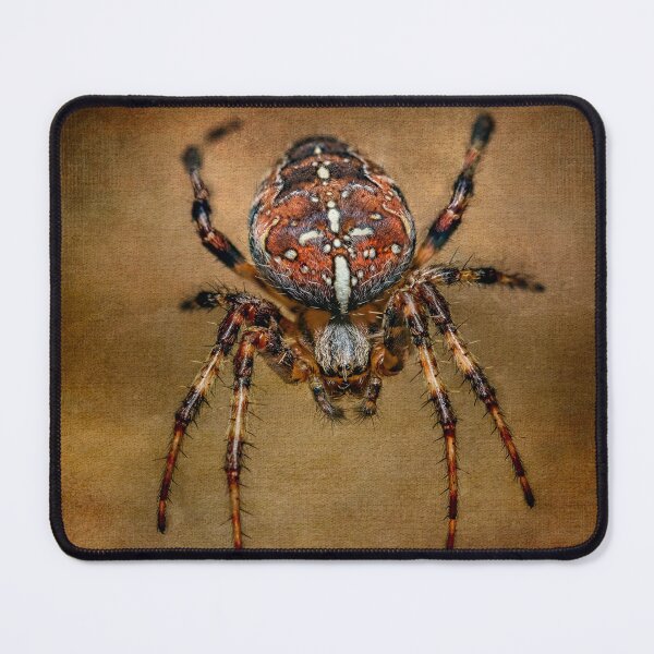 Item preview, The Garden Spider designed and sold by AJEvans.