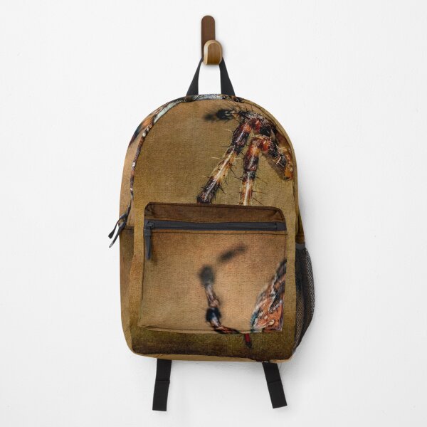 Item preview, The Garden Spider designed and sold by AJEvans.