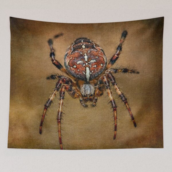 Item preview, The Garden Spider designed and sold by AJEvans.