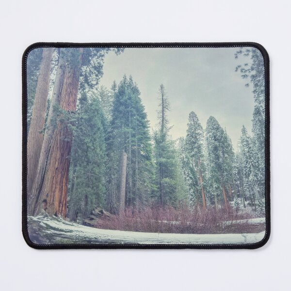 Item preview, Forest in Winter designed and sold by jvnimages.
