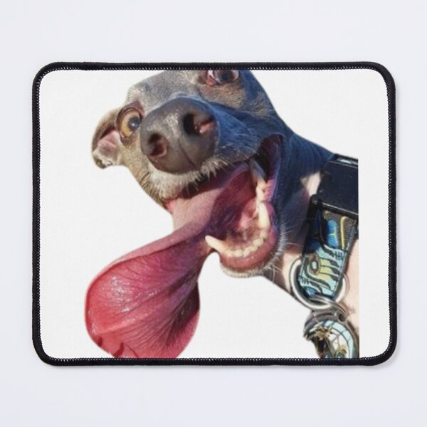 Item preview, Funny dog designed and sold by catcraftss.