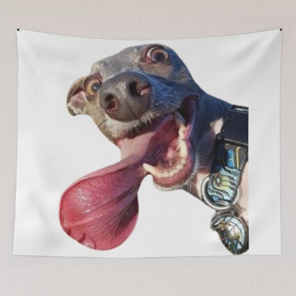 Item preview, Funny dog designed and sold by catcraftss.