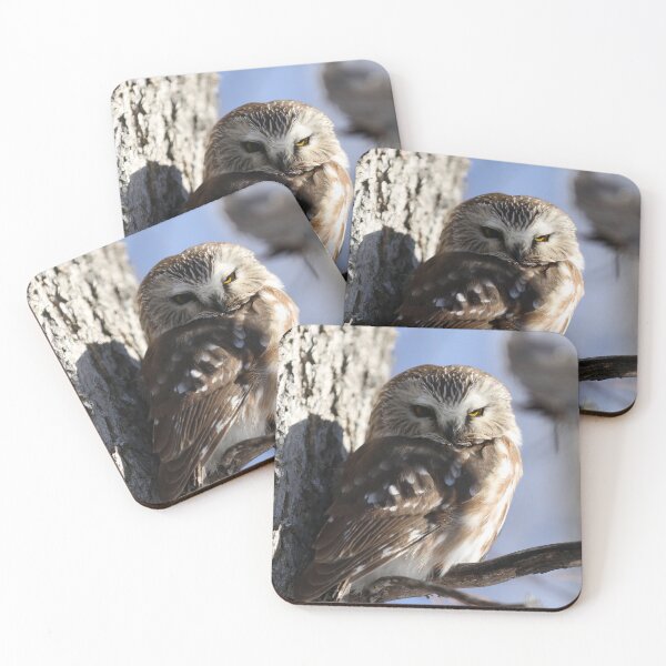 Item preview, Sweetheart saw whet owl designed and sold by locustgirl.