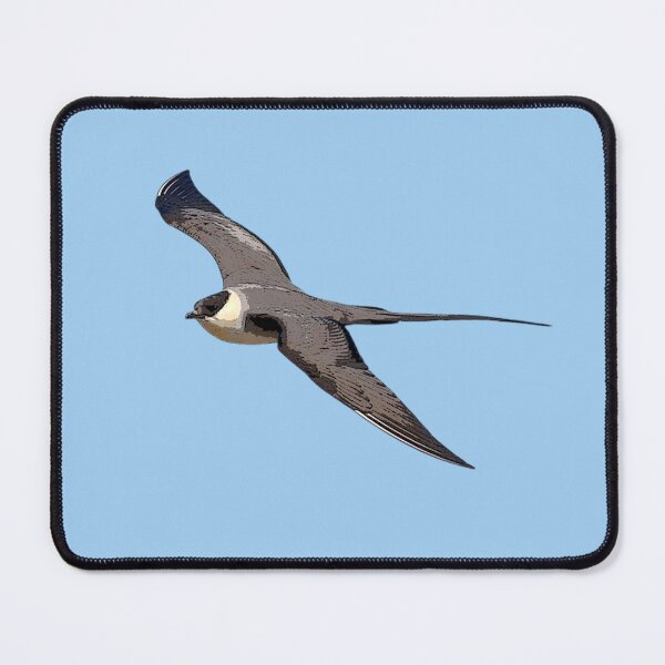Item preview, Long-Tailed Jaeger Color Design  designed and sold by designsasstultd.