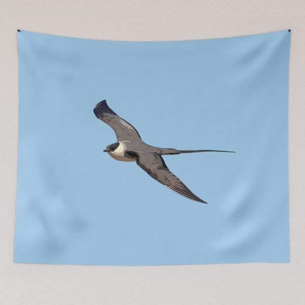 Item preview, Long-Tailed Jaeger Color Design  designed and sold by designsasstultd.