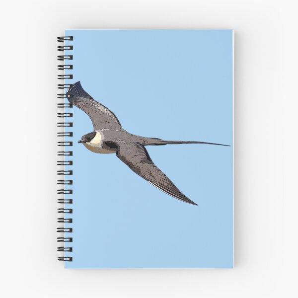 Item preview, Long-Tailed Jaeger Color Design  designed and sold by designsasstultd.