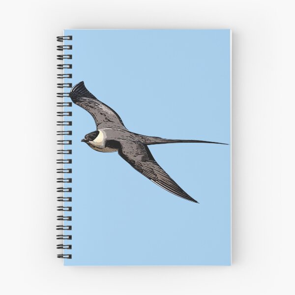 Item preview, Long-Tailed Jaeger Black Alternate Design  designed and sold by designsasstultd.