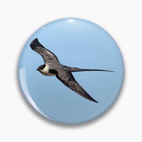Item preview, Long-Tailed Jaeger Black Alternate Design  designed and sold by designsasstultd.