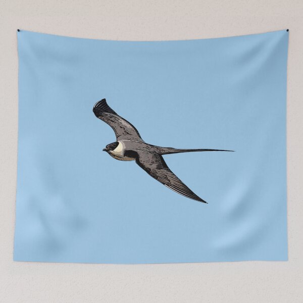 Item preview, Long-Tailed Jaeger Black Alternate Design  designed and sold by designsasstultd.