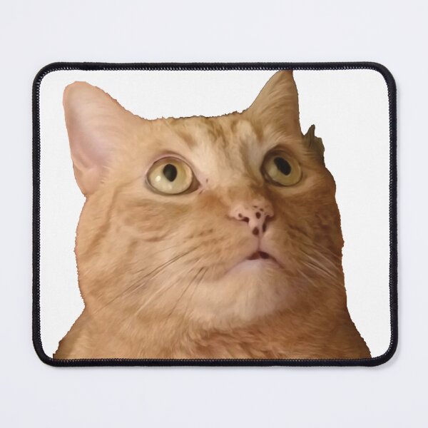Item preview, Starring Orange Cat designed and sold by Dr-Pen.