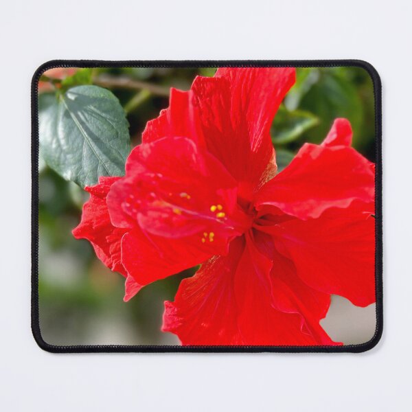 Item preview, Hibiscus Star of the Garden designed and sold by KarenZuk.