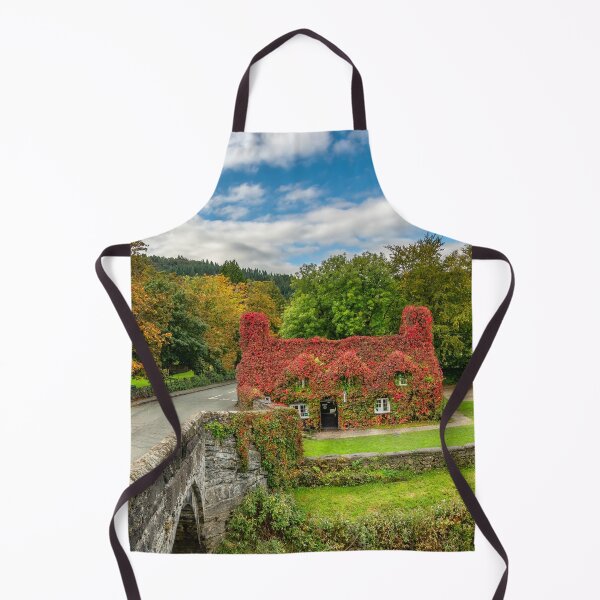 Item preview, Llanrwst Tea Cottage Fall designed and sold by AJEvans.