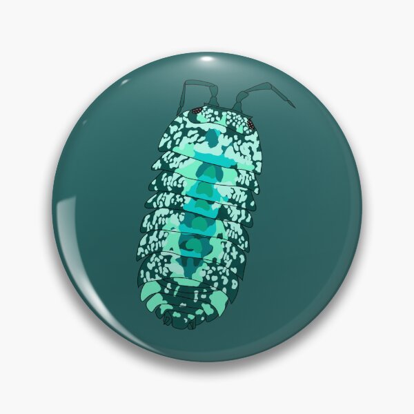 Aperçu de l'œuvre Cubaris cloportes turquoise (plus foncé) créée et vendue par Lilis-isopods.