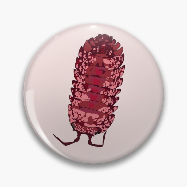 Aperçu de l'œuvre Cubaris cloportes rouge créée et vendue par Lilis-isopods.