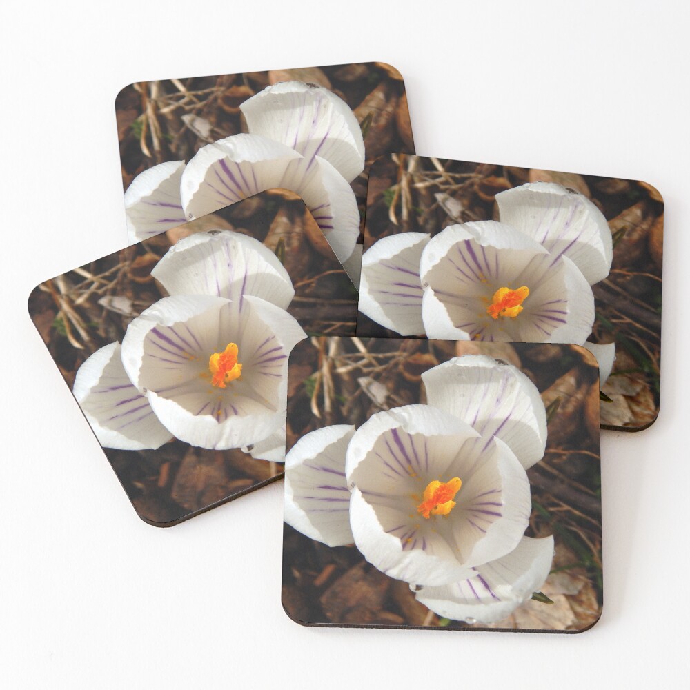 Item preview, Coasters (Set of 4) designed and sold by gistinker.