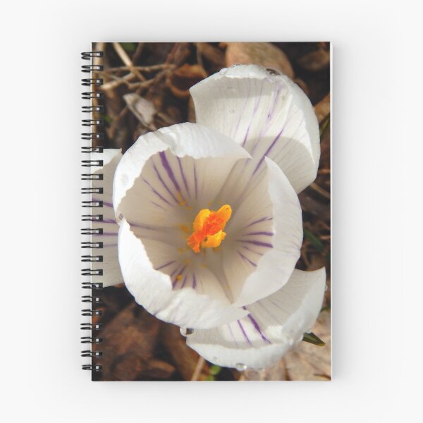 Item preview, Spring Crocus designed and sold by gistinker.