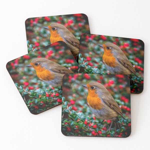 Item preview, Robin Redbreast designed and sold by AJEvans.